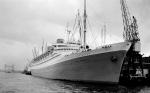 NIEUW AMSTERDAM