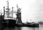 NOORDAM
