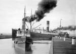 PARTHENIA