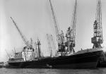POELDYK