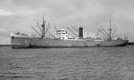 PORT GISBORNE