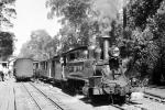 Puffing Billy