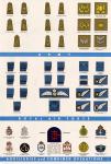 Ranks and Insignia