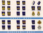 Ranks and Insignia 2