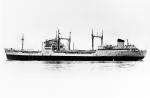 RFA Orangeleaf