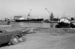 Roath Dock, Cardiff