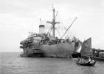 HMS SAINFOIN
