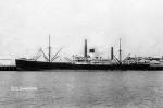 SARPENDON