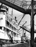 Blue Funnel Liner + Taroona