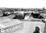 Antwerp Dry Docks 8, 9 and 10