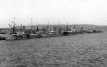 Ships in Durban Harbour