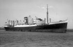 SYDNEY STAR