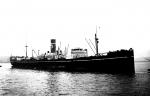 TACOMA STAR