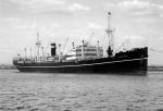 TARONGA 1927
