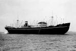TARONGA 1934