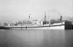 TASMAN as HMHS