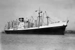TASMANIA STAR