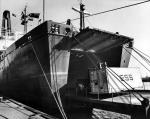 UNION SYDNEY