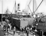 Unloading Bananas