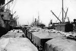 Ships Loading Wheat