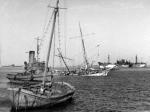 Wrecks in Tripoli Harbour