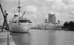 Millwall Docks