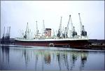 AUCKLAND STAR