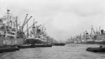 Looking west, Royal Albert Dock, London.