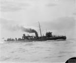 HMS Decoy - 1902