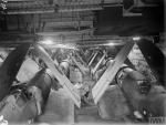 HMS Illustrious - Packed Hangar