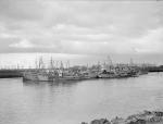 RN Scheldt minesweeping force