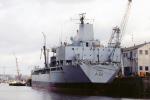 RFA BRAMBLELEAF