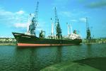 CELTIC ENDEAVOUR