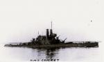 HMS CRICKET T75