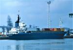 FALLOW DEER - IMO : 7208261