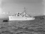 HMS FLAMINGO