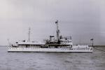 HMS LOCUST T28