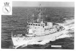 HMS  PEACOCK P239