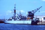 HMS  PHOEBE  F42