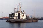 WD AVON