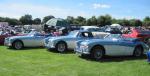 Austin Healey 3000s