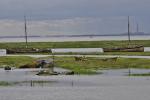 Marine graveyard