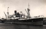 BACTRIA