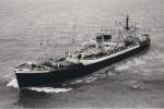 GEELONG STAR