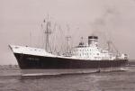 HOBART STAR