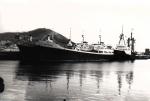 INTOMBI INGANE ARCTIC