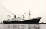 MONTEVIDEO STAR