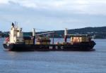 MSC ANNE F
