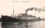 NEURALIA