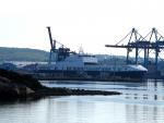 PETUNIA SEAWAYS